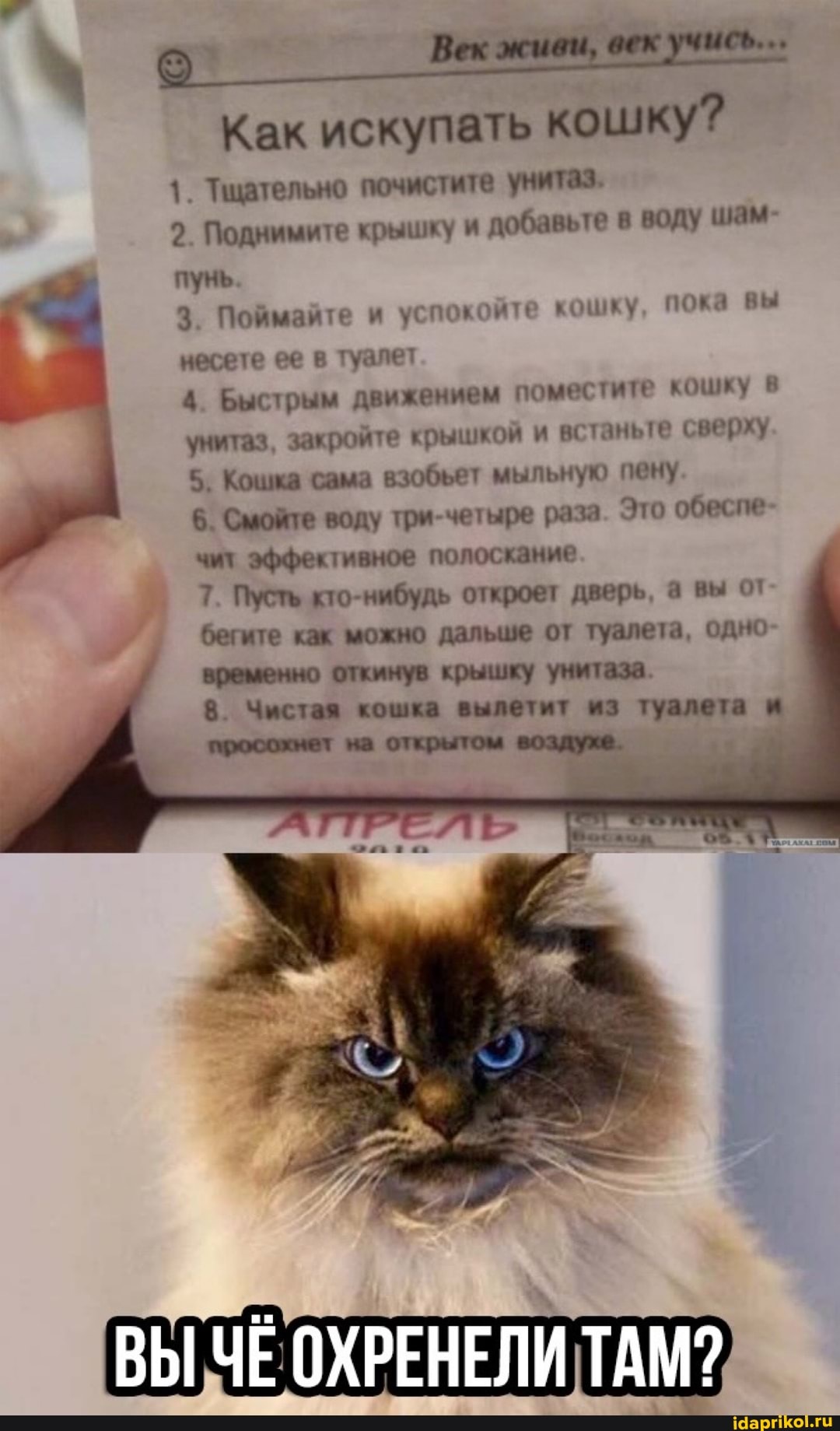 Век век
Как искупать кошку?
Тщательно почистите унитаз,
2. Поднимите крышку и добавьте в воду шам- пунь.
3. Поймайте и успокойте кошку пока вы несете ее в туалет
Быстрым движением поместите кошку в унитаз, закройте крышкой и встаньте сверху
5. Кошка сама взобьет мыльную пену
6. Смойте воду три-четыре раза. Это обеспе- чит эффективное полоскание
7. Пусть кто-нибудь откроет дверь, а вы от бегите как можно дальше от туалета, одно- временно откинув крышку унитаза.
8. Чистая кошка вылетит из туалета и просохнет на открытом воздухе.
ВЫ ЧЕ ОХРЕНЕЛИ ТАМ?
