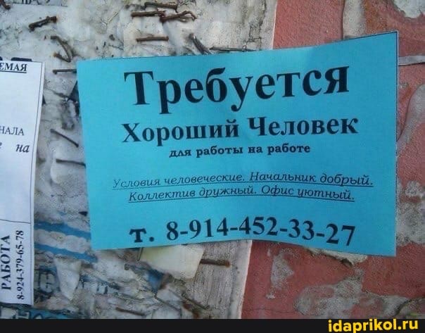 Требуется
Хороший Человек
для работы на работе
Условия человеческие. Начальник добрый.
Коллектив друж й.
т. 8-914-452-