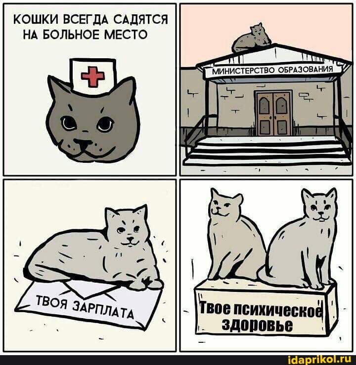 КОШКИ ВСЕГДА САДЯТСЯ НА БОЛЬНОЕ МЕСТО
ооо поиоический