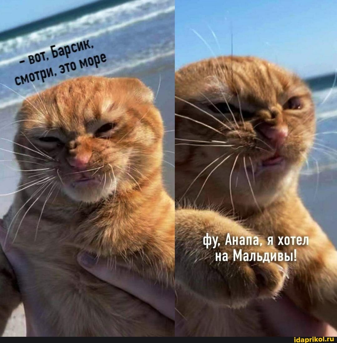 фу. Анапа, я хотел на Мальдивы!