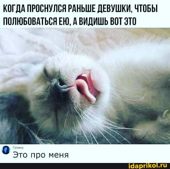 КОГДА ПРОСНУЛСЯ РАНЬШЕ ДЕВУШКИ, ЧТОБЫ ПОЛЮБОВАТЬСЯ ЕЮ, ВИДИШЬ ВОТ ЭТО
про меня