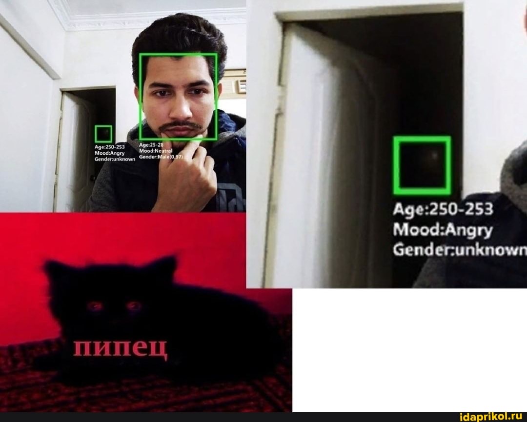 2020, жесть, страх, кот, ужас, тьма, dark, прикол, топ, bad, mem, явление, душа, квартира, домовой, призрак, полтергейст, убийца, чёрт