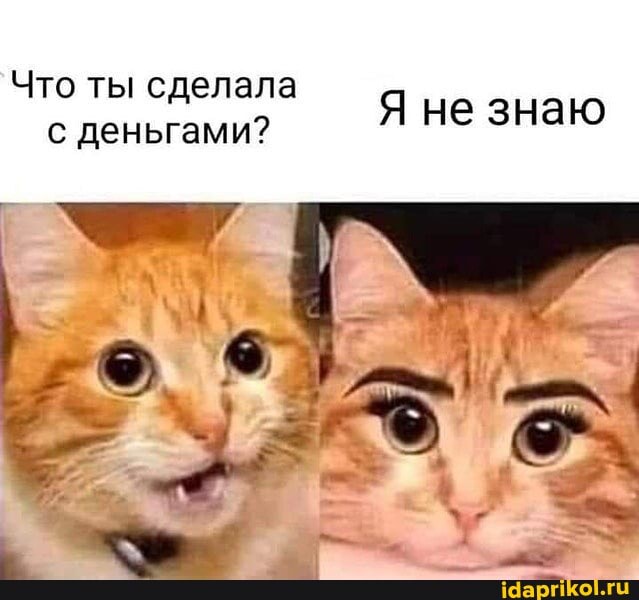 Что ты сделала с деньгами?
Я не знаю