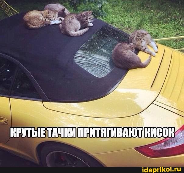 КРУТЫЕТАЧКИ ПРИТЯГИВАЮТ