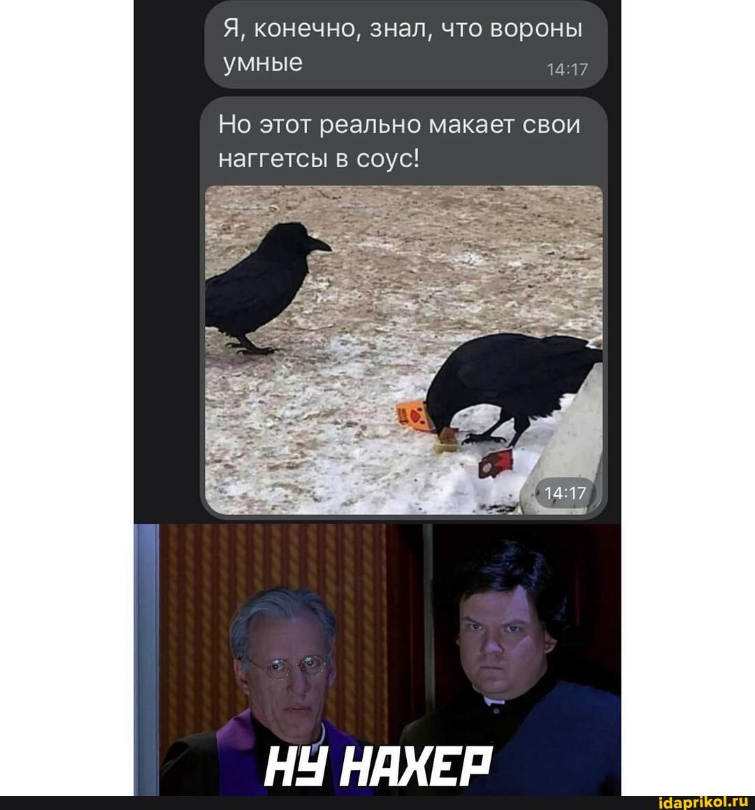 Я, конечно, знал, что вороны умные
Но этот реально макает свои наггетсы в соус!