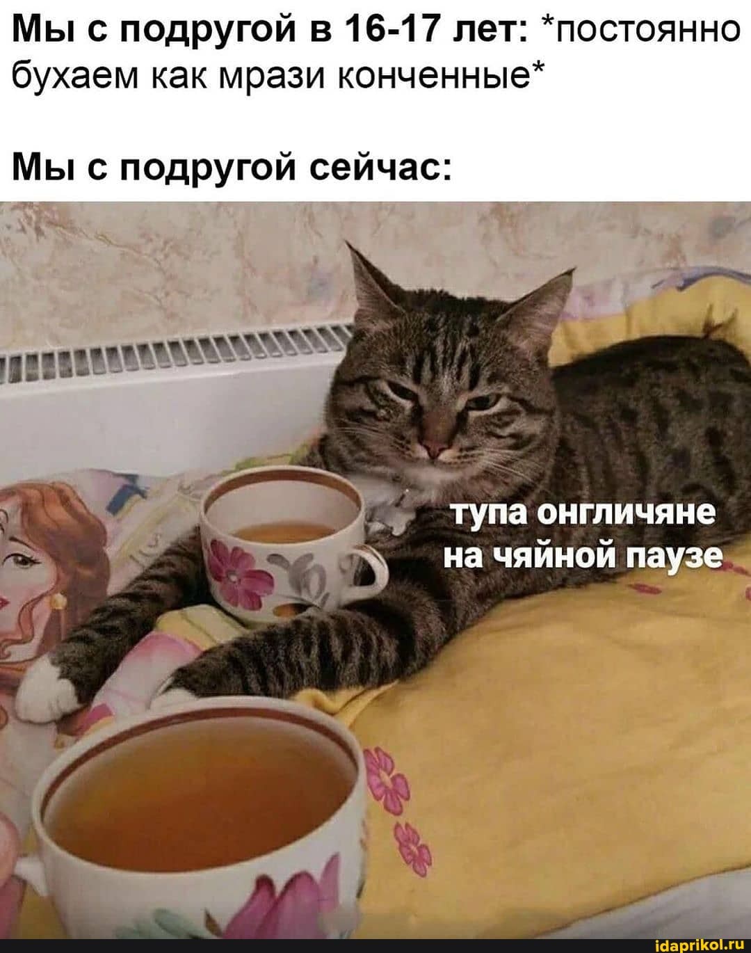 Мы с подругой в 16-17 лет: *постоянно
бухаем как мрази конченные*
Мы с подругой сейчас:
на чяйной паузе