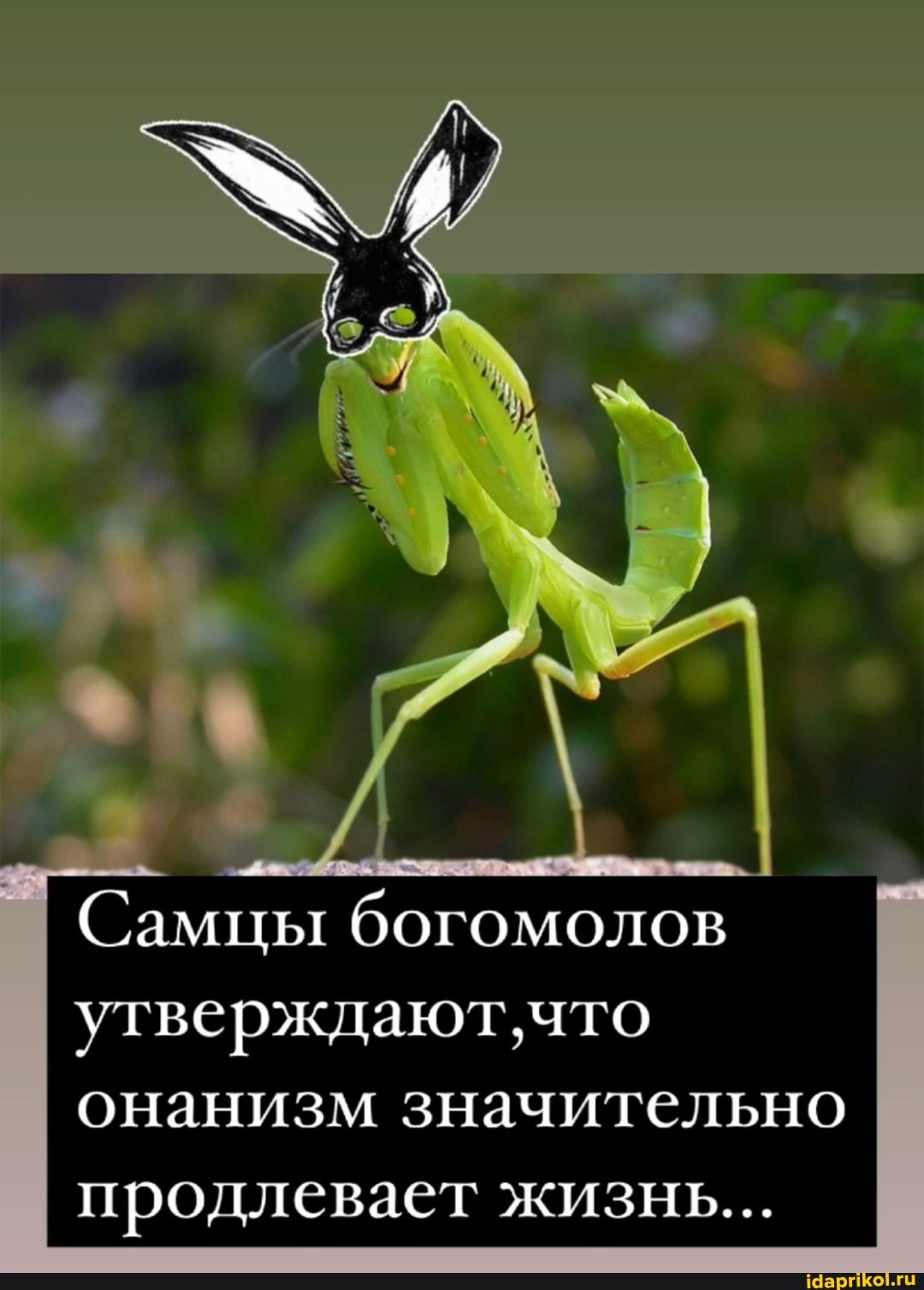 Онанизм 