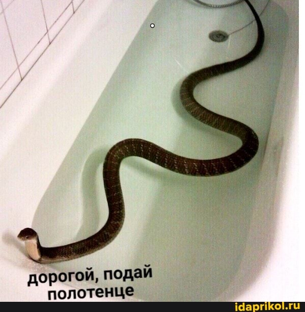 дорогой, подай полотенце
