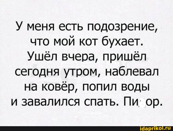У меня есть подозрение, что мой кот бухает.
Ушёл вчера, пришёл
сегодня утром, наблевал
на ковёр, попил воды и завалился спать. Пи: ор.