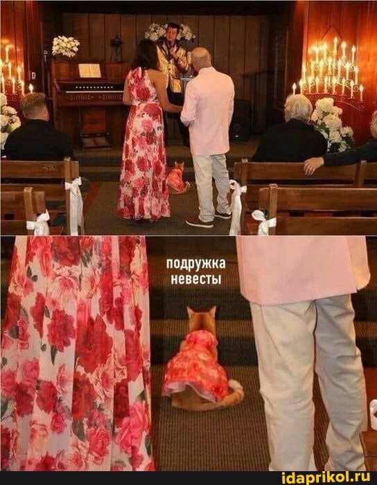 подружка невесты