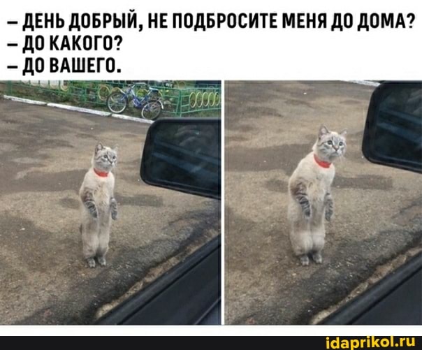ДЕНЬ ДОБРЫЙ, НЕ ПОДБРОСИТЕ МЕНЯ ДО ДОМА?
ДО КАКОГО?
ДО ВАШЕГО.