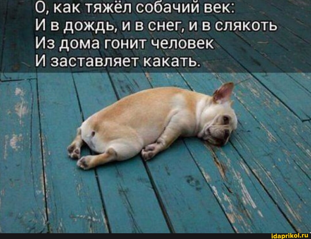 Подустал как правильно. Подустал как правильно
