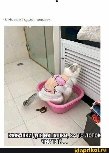 С Новым Годом, человек!
КАКАШКИ ДЛЯ НАТАШКИ, ЗА ТО ЛОТОК