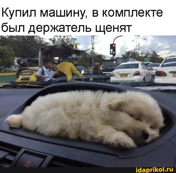 Купил машину, в комплекте был держатель щенят