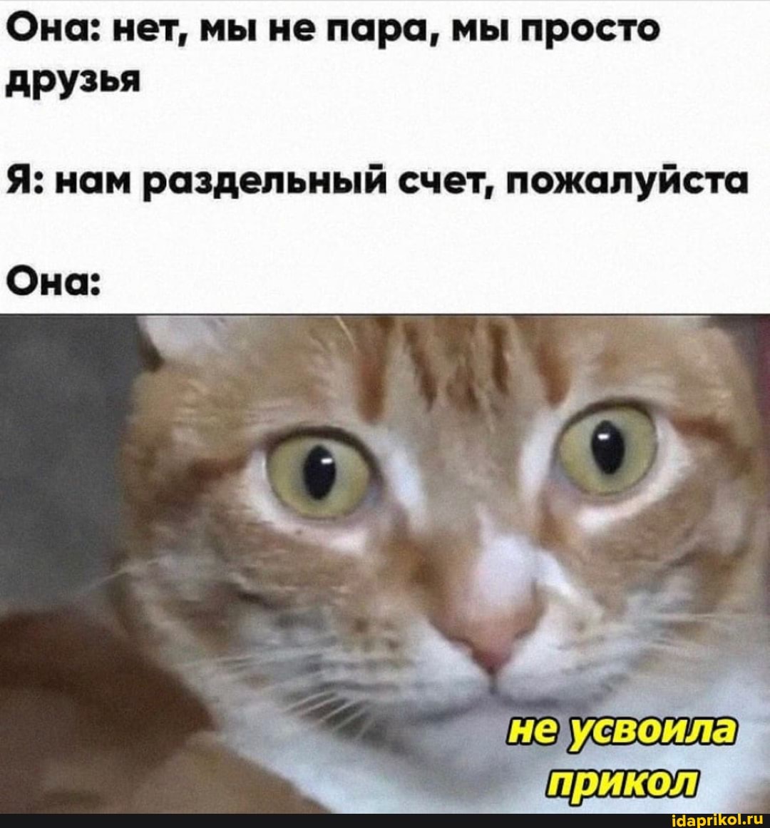 Она: нет, мы не пара, мы просто друзья
Я: нам раздельный счет, пожалуйста