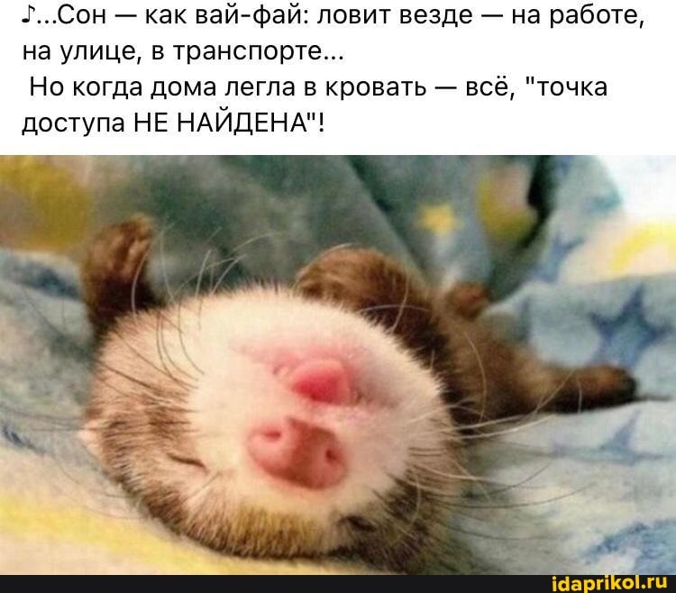 г..Сон - как вай-фай: ловит везде - на работе, на улице, в транспорте...
Но когда дома легла в кровать - всё, "точка доступа НЕ НАЙДЕНА"!