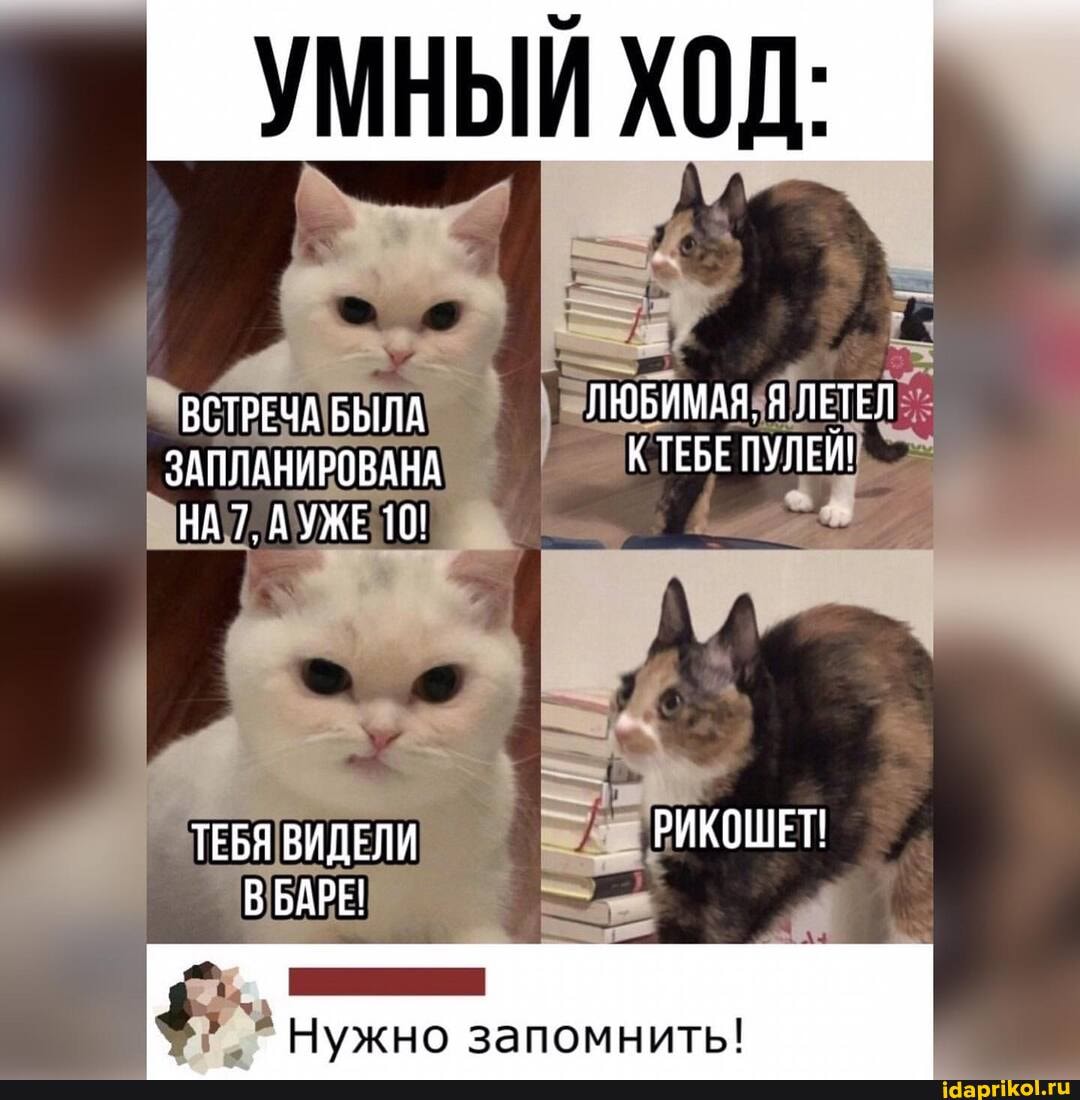 УМНЫЙ ХОД:
ВСТРЕЧА БЫЛА ЛЮБИМАЯ. Я ЛЕТЕЛ ЗАПЛАНИРОВАНА КТЕБЕ ПУЛЕИ!
НА 7, АУЖЕ 10!
ТЕБЯ ВИДЕЛИ РИКОШЕТ!
ВБАРЕ!
Нужно запомнить!