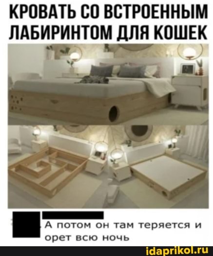 КРОВАТЬ ВСТРОЕННЫМ ЛАБИРИНТОМ ДЛЯ КОШЕК
А потом он там теряется и орет всю ночь
