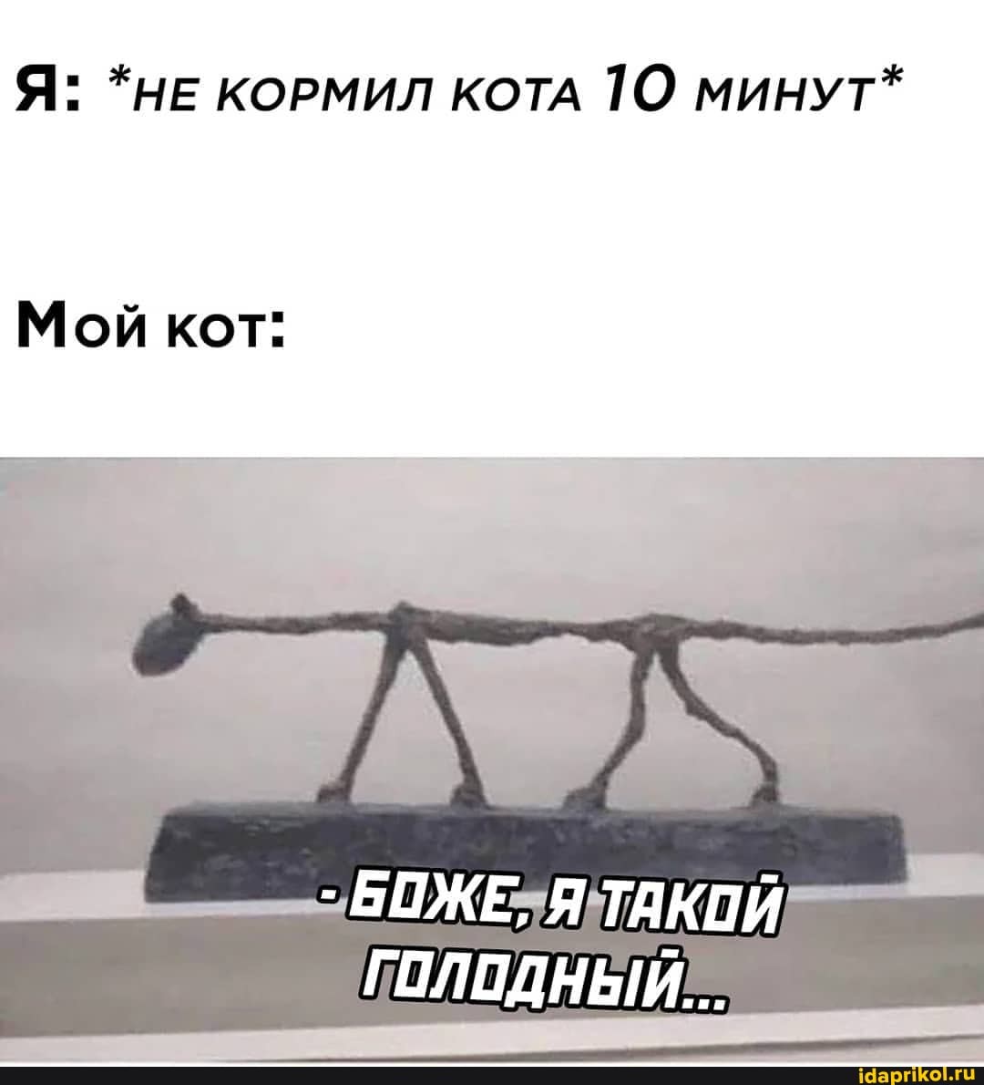 Я: *НЕ КОРМИЛ КОТА МИНУТ*
Мой кот:
"ВОЖЕЗЯ ТАКОЙ
