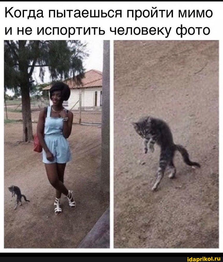 Когда пытаешься пройти мимо и не испортить человеку фото
