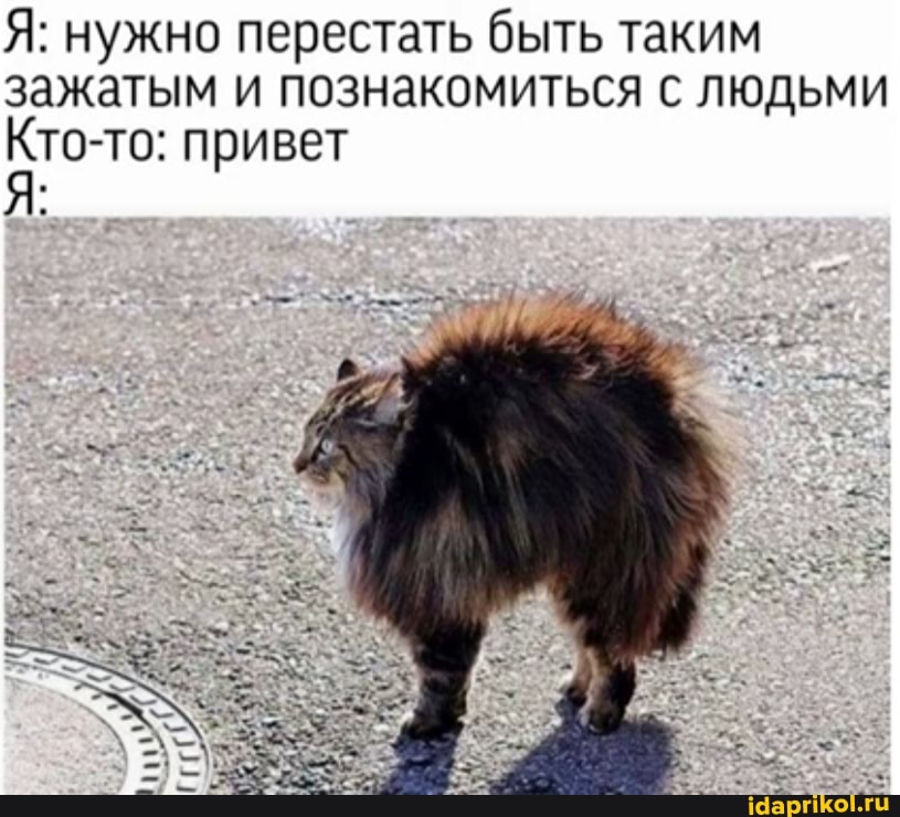 Я: нужно перестать быть таким зажатым и познакомиться с людьми
Кто-то: привет