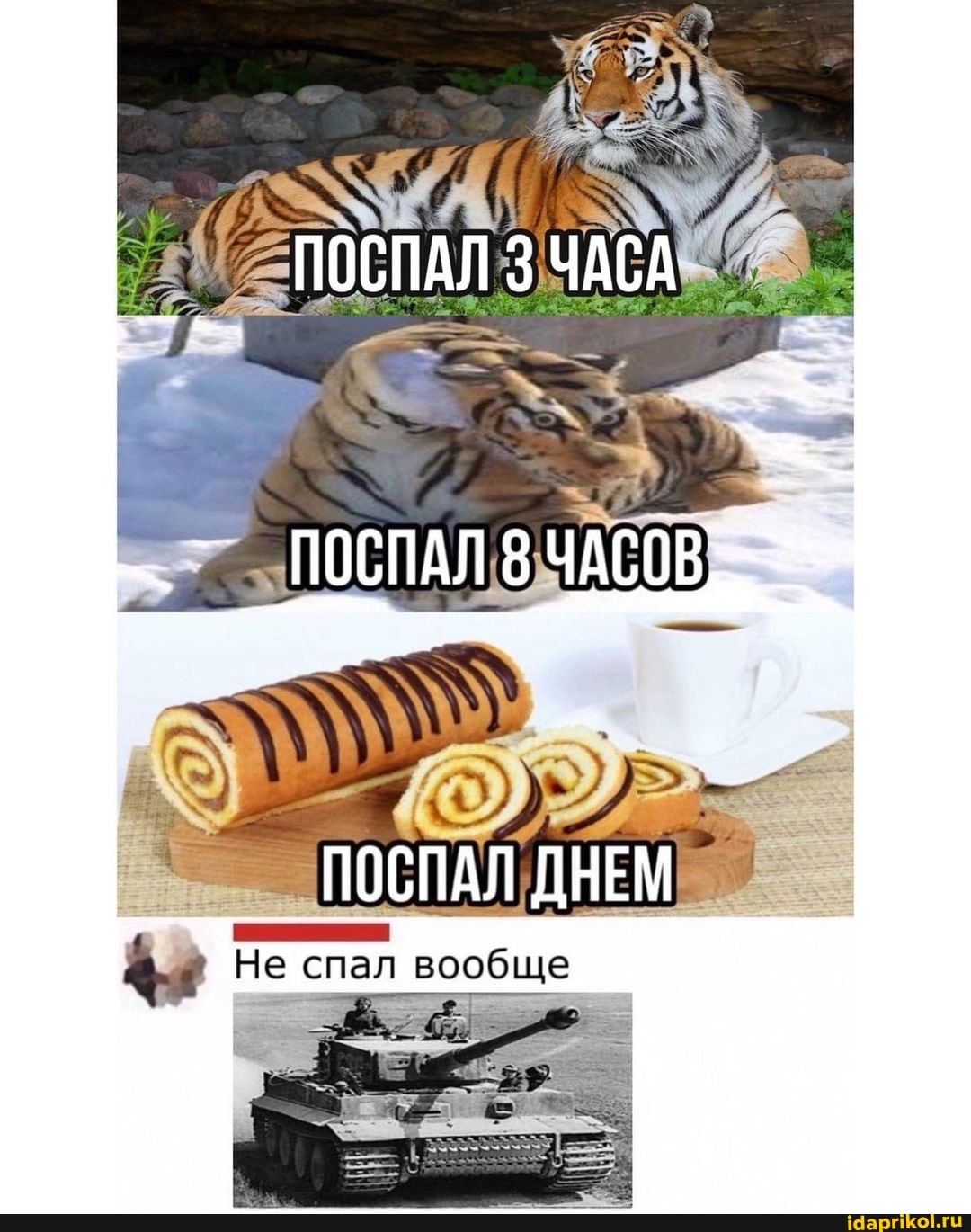 Не спал вообще