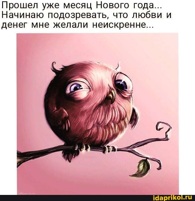Прошел уже месяц Нового года...
Начинаю подозревать, что любви и денег мне желали неискренне...