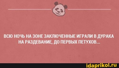 ВСЮ НОЧЬ НА ЗОНЕ ЗАКЛЮЧЕННЫЕ ИГРАЛИ В ДУРАКА НА РАЗДЕВАНИЕ, ДО ПЕРВЫХ ПЕТУХОВ...