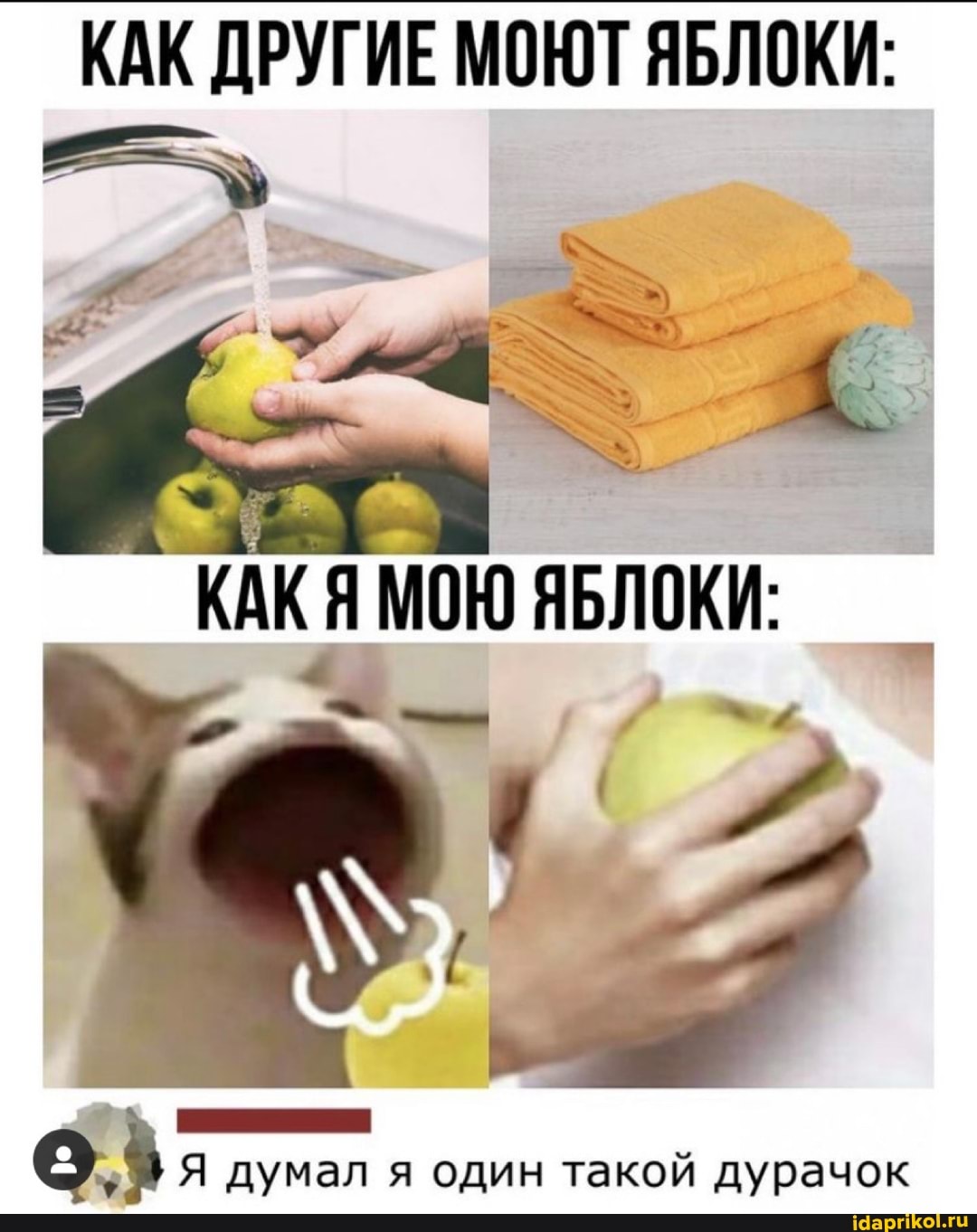 КАК ДРУГИЕ МОЮТ ЯБЛОКИ:
КАКЯ Я МОЮ ЯБЛОКИ:
Я думал я один такой дурачок