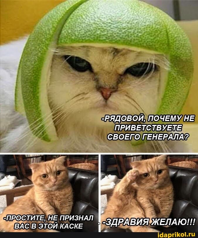 "РЯДОВОЙ, ПОЧЕМУ НЕ ПРИВЕТСТВУЕТЕ СВОЕГО ГЕНЕРАЛА?
-ПРОСТИТЕ, НЕ ПРИЗНАЛ
ВАС В ЭТОЙ КАСКЕ "ЗДРАВИЯ ЖЕЛАЮ!!!