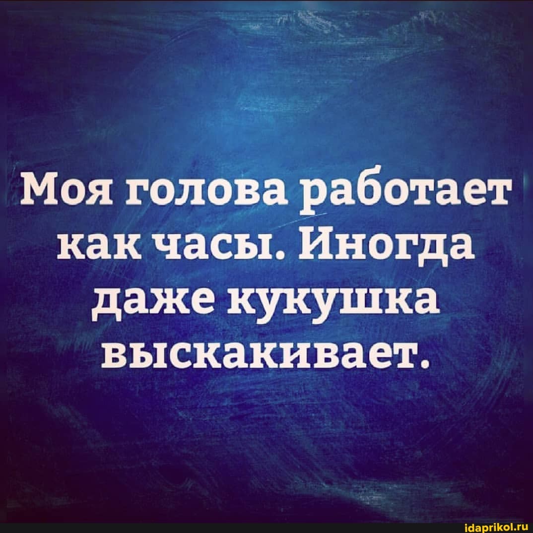 Моя голова работает как часы. Иногда даже кукушка выскакивает.