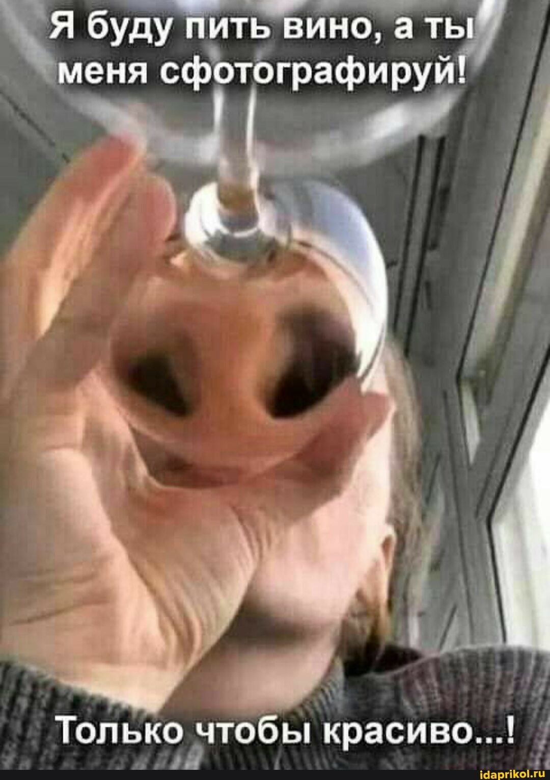 буду пить вино, а ты
меня сфотографируй
Только чтобы красиво...!