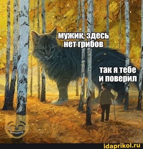 мужик, здесь нет грибов
такя тебе и поверил