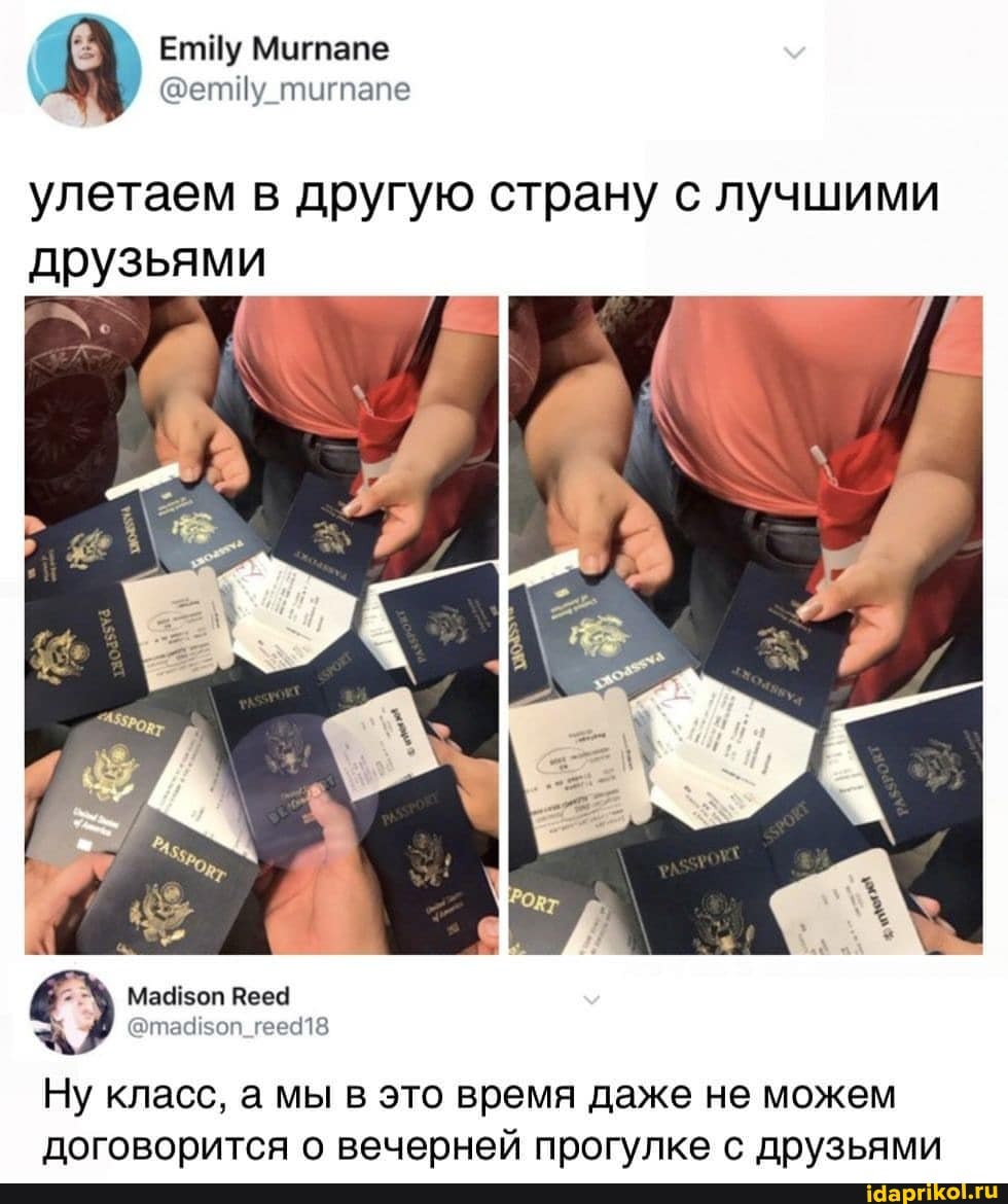 Муглале
улетаем в другую страну с лучшими друзьями
Вее4
Ну класс, а мы в это время даже не можем договорится о вечерней прогулке с друзьями