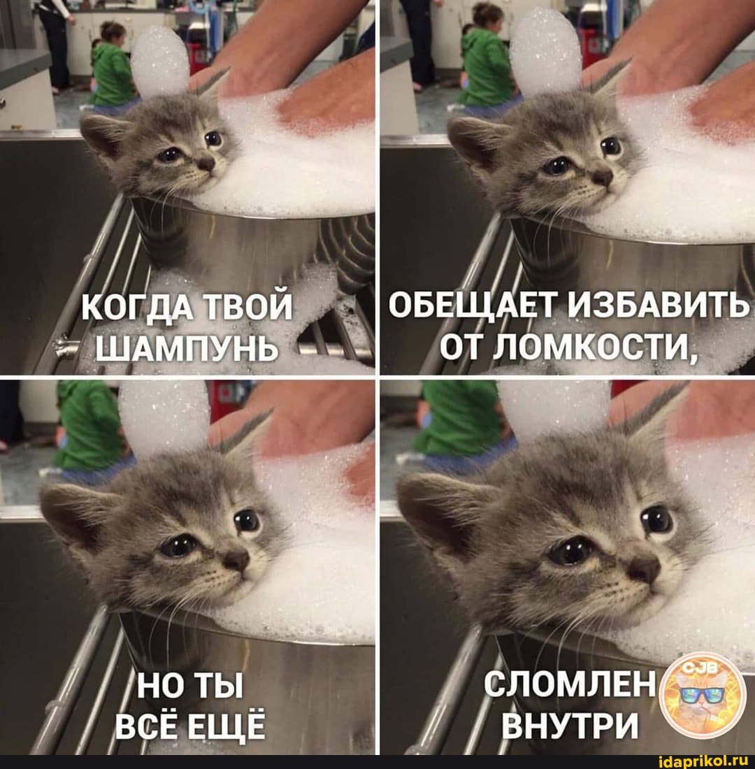 КОГДА ТВОЙ ОБЕЩАЕТ ИЗБАВИТЬ ШАМПУНЬ - ОТ ЛОМКОСТИ,
но ты СЛОМЛЕН ВСЕЕШЕ ВНУТРИ