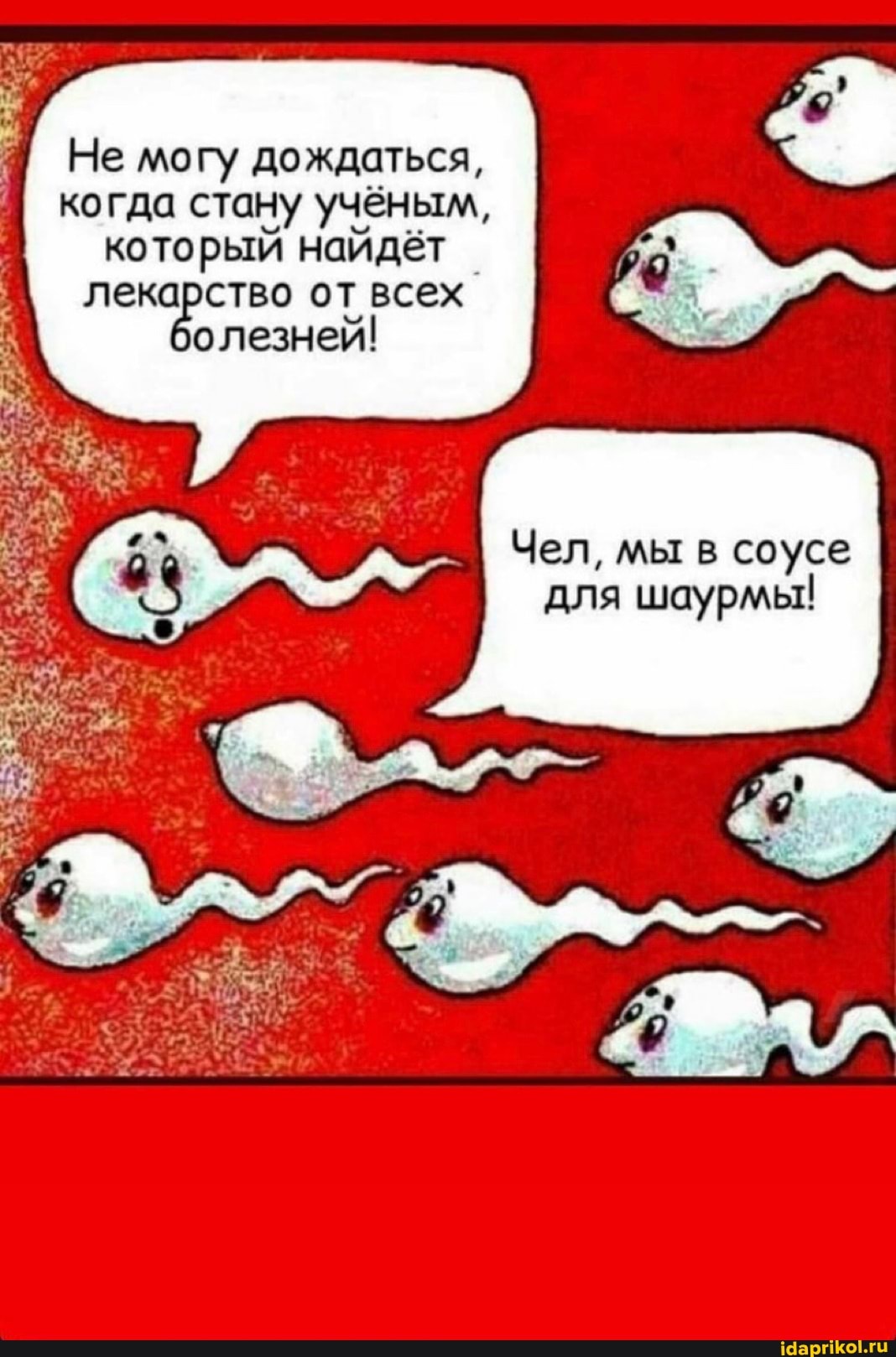 Не могу дождаться, когда стану учёным, который найдёт лекарство от всех олезней!
I Чел, мы в соусе
для шаурмы!