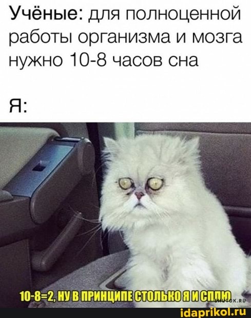 Учёные: для полноценной работы организма и мозга нужно 10-8 часов сна
ПРИНЦИПЕСТОЛ