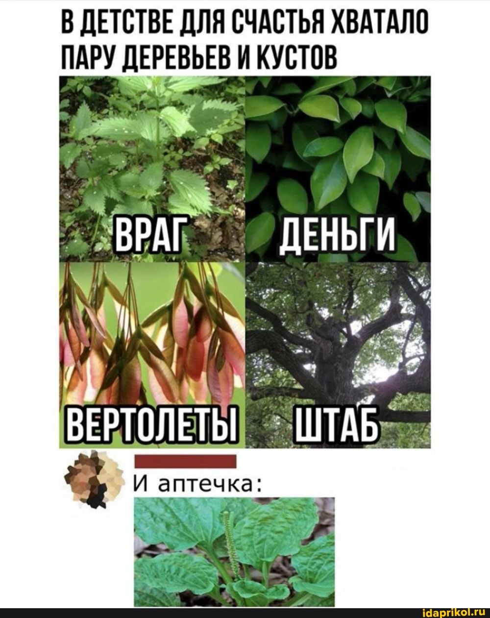 В ДЕТСТВЕ ДЛЯ СЧАСТЬЯ ХВАТАЛО ПАРУ ДЕРЕВЬЕВ И КУСТОВ
ВРАГ
ВЕРТОЛЕТЫ ШТАБ