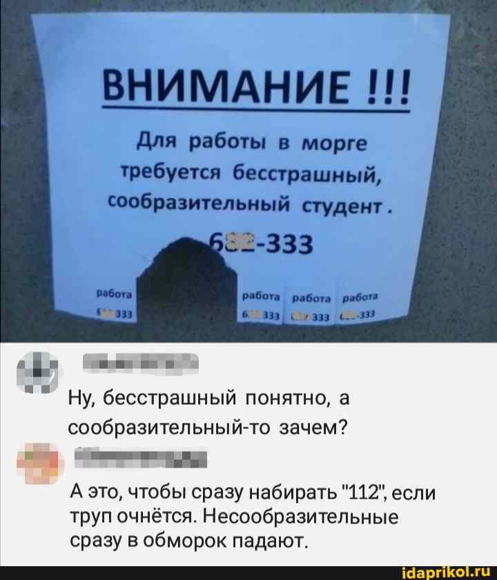 ВНИМАНИЕ
Для работы в морге
требуется бесстрашный, сообразительный студент.
-333
работа работа работа
6 333
Ну, бесстрашный понятно, а сообразительный-то зачем?
А это, чтобы сразу набирать "112", если труп очнётся. Несообразительные сразу в обморок падают.