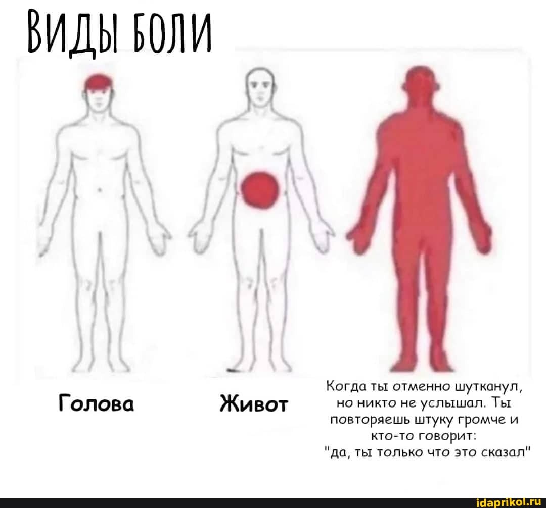 ВИДЫ БОЛИ
Когда ты отменно шутканул,
Голова Живот но никто не услышал. Ты повторяешь штуку громче и кто-то говорит:
"да, ты только что это сказал"