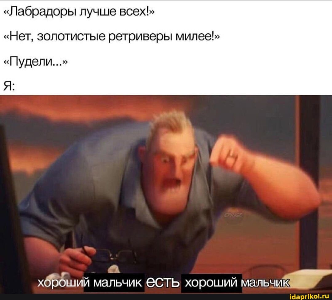 "Лабрадоры лучше всех"
"Нет, золотистые ретриверы милее"