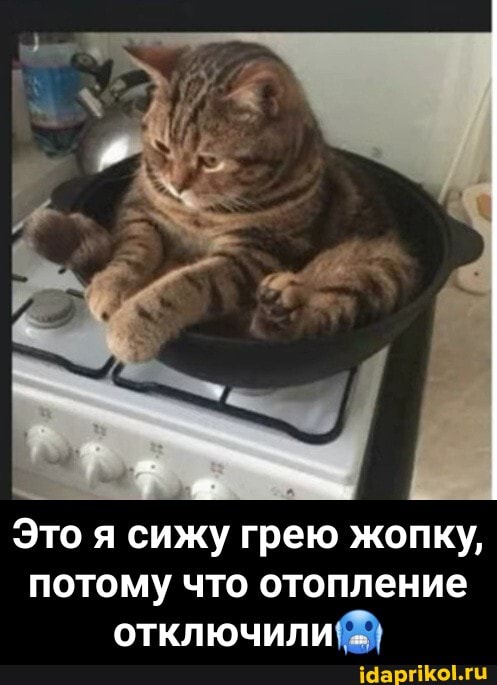 Это я сижу грею жопку, потому что отопление отключили - Это я сижу грею жопку, потому что отопление отключили🥶