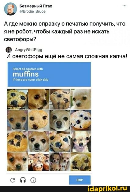 везмерный Птах
А где можно справку с печатью получить, что яне робот, чтобы каждый раз не искать светофоры?
И светофоры ещё не самая сложная капча!
поле,
