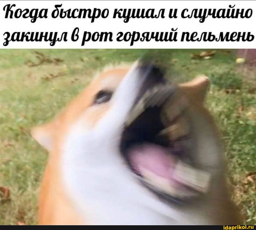 Погда дыстро кушал и случайно
