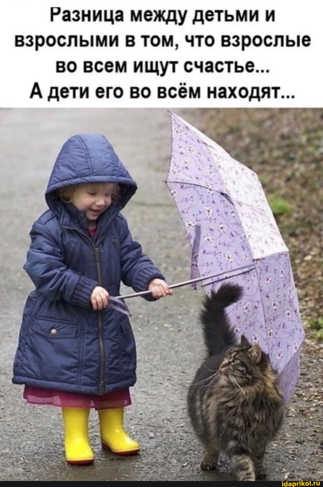 Разница между детьми и взрослыми в том, что взрослые во всем ищут счастье...
А дети его во всём находят...