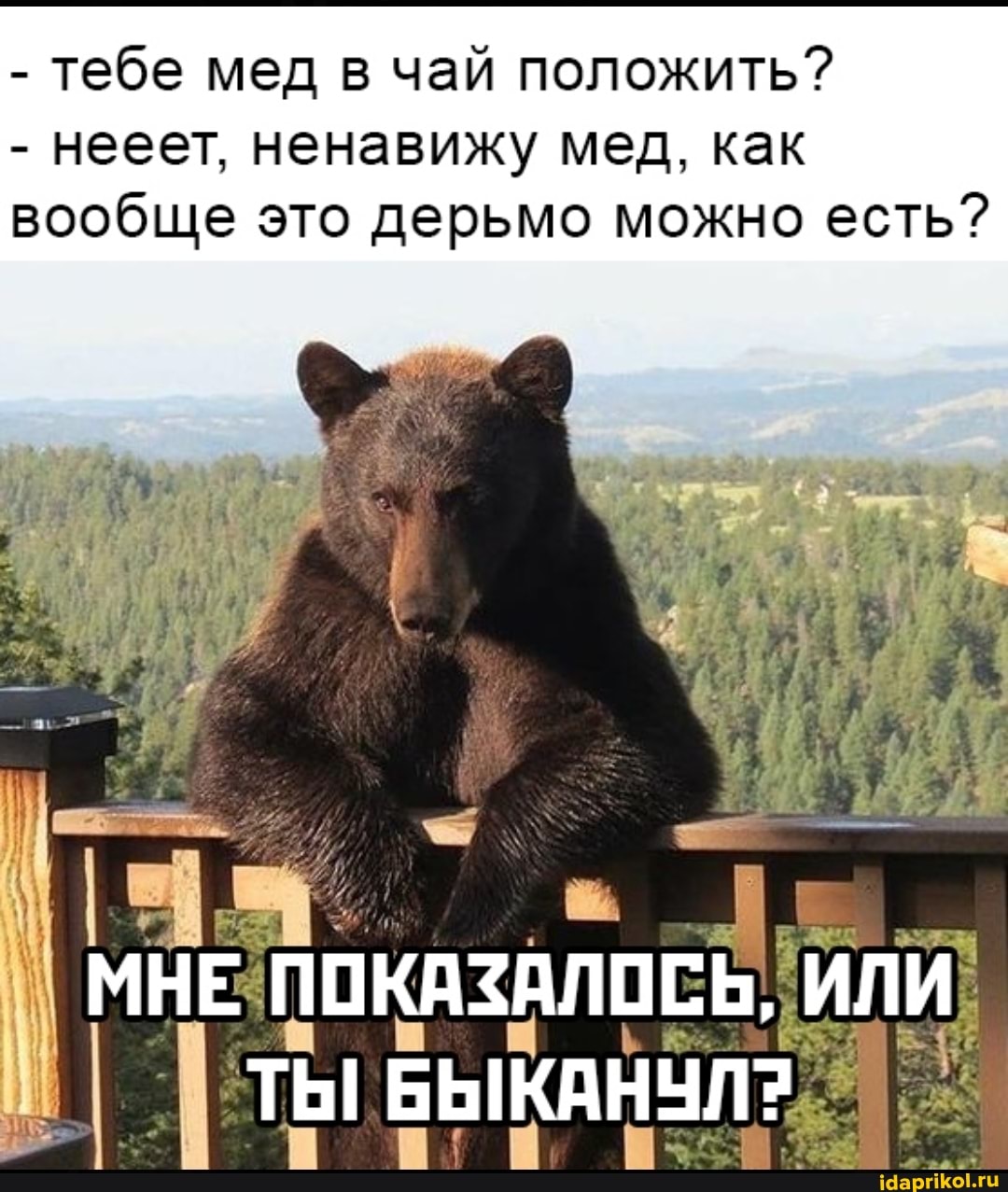 - тебе мед в чай положить?
- нееет, ненавижу мед, как вообще это дерьмо можно есть?
МНЕ ПОКАЗАЛОСЬ, ИЛИ ТЫ БЫКАНУЛ?