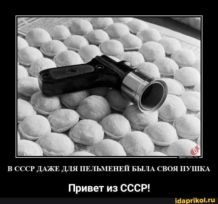 В СССР ДАЖЕ ДЛЯ ПЕЛЬМЕНЕЙ БЫЛА СВОЯ ПУШКА
Привет из СССР! - Привет из СССР!
