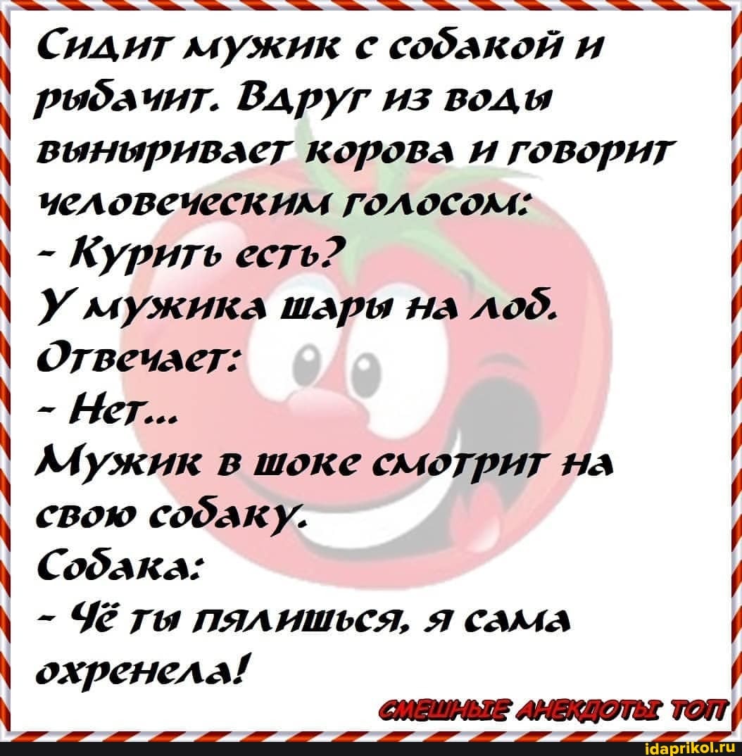 ВА руг из воды
охренела!