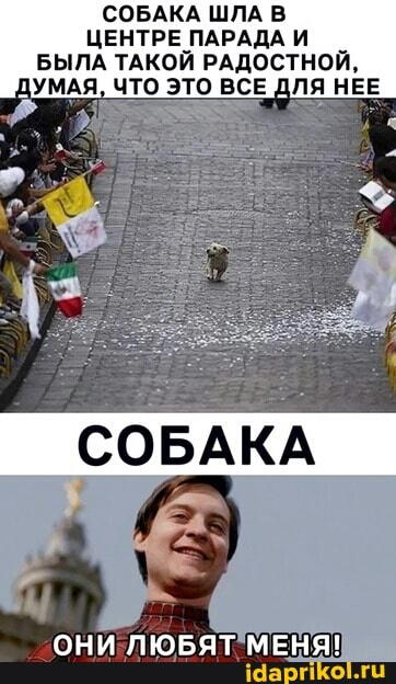 СОБАКА ШЛА
ЦЕНТРЕ ПАРАДА И
БЫЛА ТАКОЙ РАДОСТНОЙ,
ДУМАЯ, ЧТО ЭТО ВСЕ ДЛЯ НЕЕ
СОБАКА
ОНИ ЛЮБЯТ МЕНЯ!