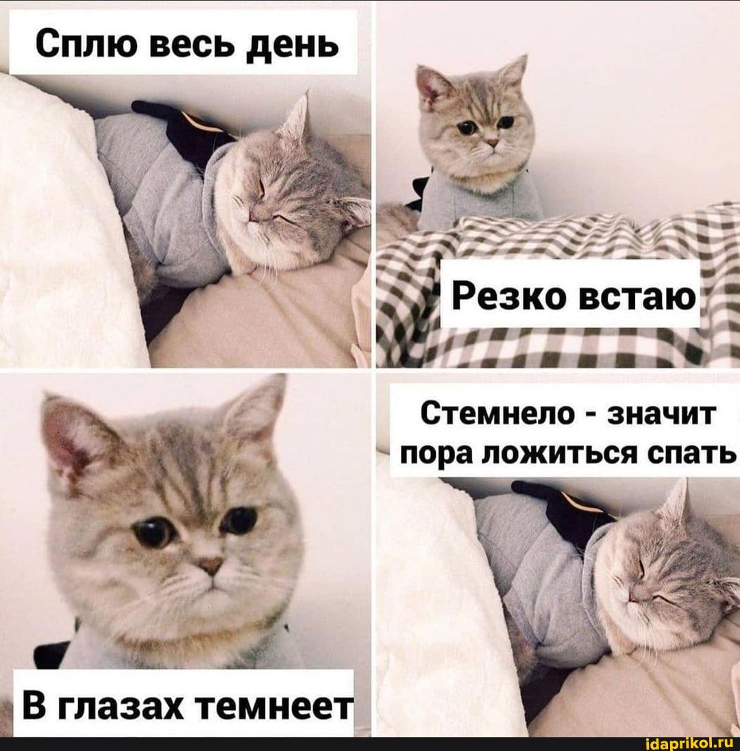 Сплю весь день
встаю:
Резко
Стемнело - значит
- пора ложиться спать
В глазах темнеет